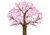 A graphic of a cherry blossom tree