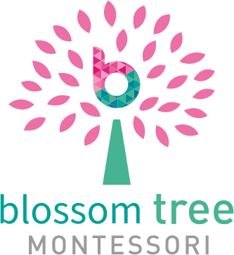 blossom tree montessori