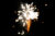 A firework exploding in the night sky, but out of focus