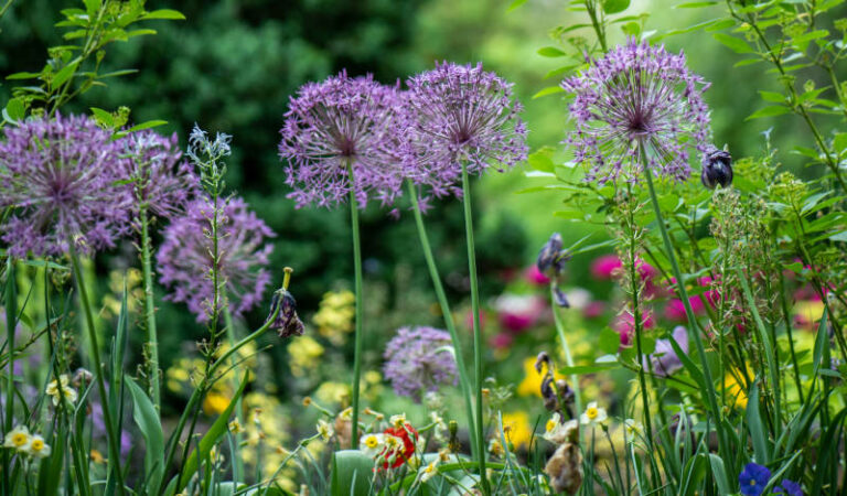 A garden scene, possibly one of remembrance