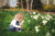 A child smelling a daffodil