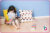 A child reading on their own with a xylophone nearby