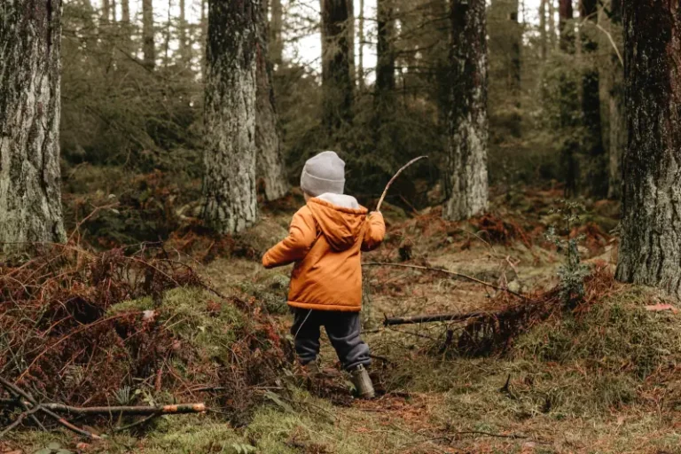 Stick Man image - A Child exploring the woods holding a stick