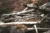 Stick Man image - A haphazard collection of sticks