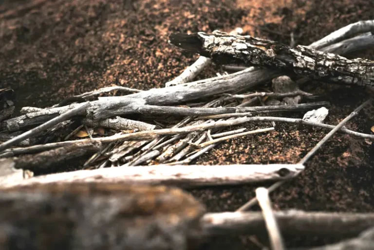 Stick Man image - A haphazard collection of sticks