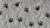 Bear hunt image - Bear paw prints
