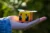 Bee Activities Image - Cardboard bee