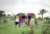 Elmer activities image - a multicoloured elephant