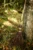Room on the Broom image - a broom