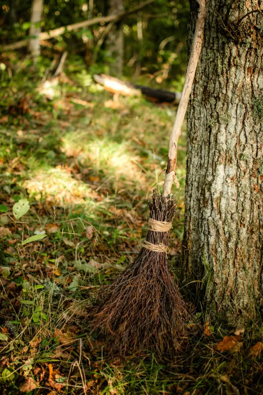 Room on the Broom image - a broom