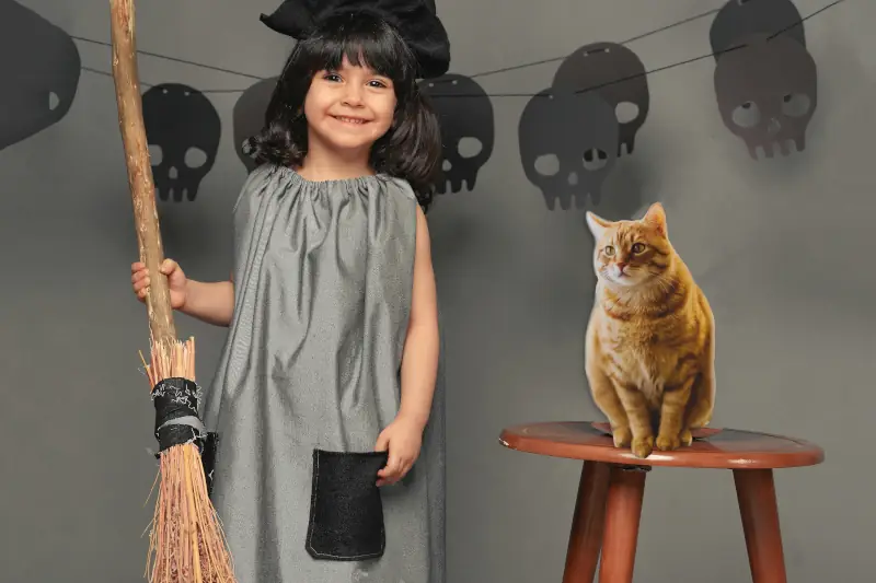 Room on the Broom image - a child holding a witch broom next to a cat on a stool