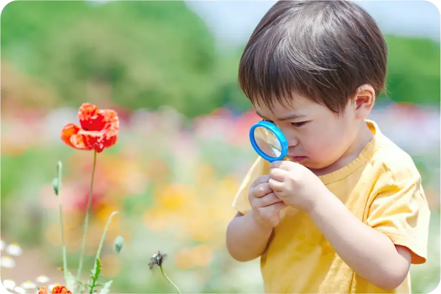 The Day of nursery inspection image - a toddler with a magnifying glass looking at a poppy